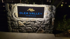 Luxury Apartment Nikiti - Olea Valley
